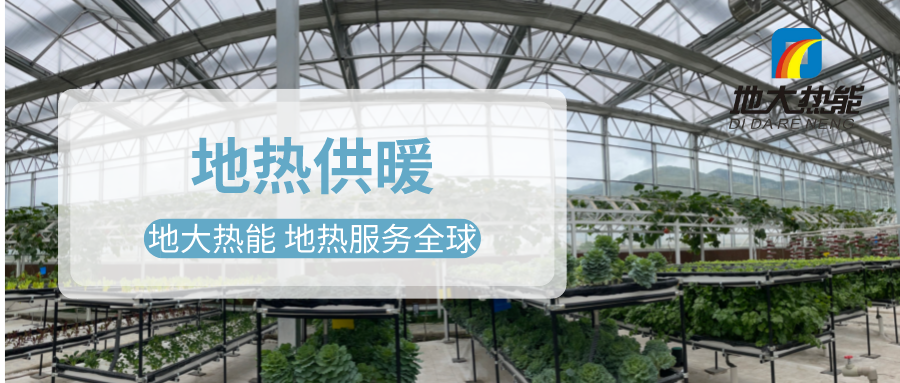 發(fā)揮地?zé)豳Y源優(yōu)勢，地?zé)徂r(nóng)業(yè)實(shí)現(xiàn)花卉產(chǎn)業(yè)特色發(fā)展 | 地大熱能 地?zé)岱?wù)全球